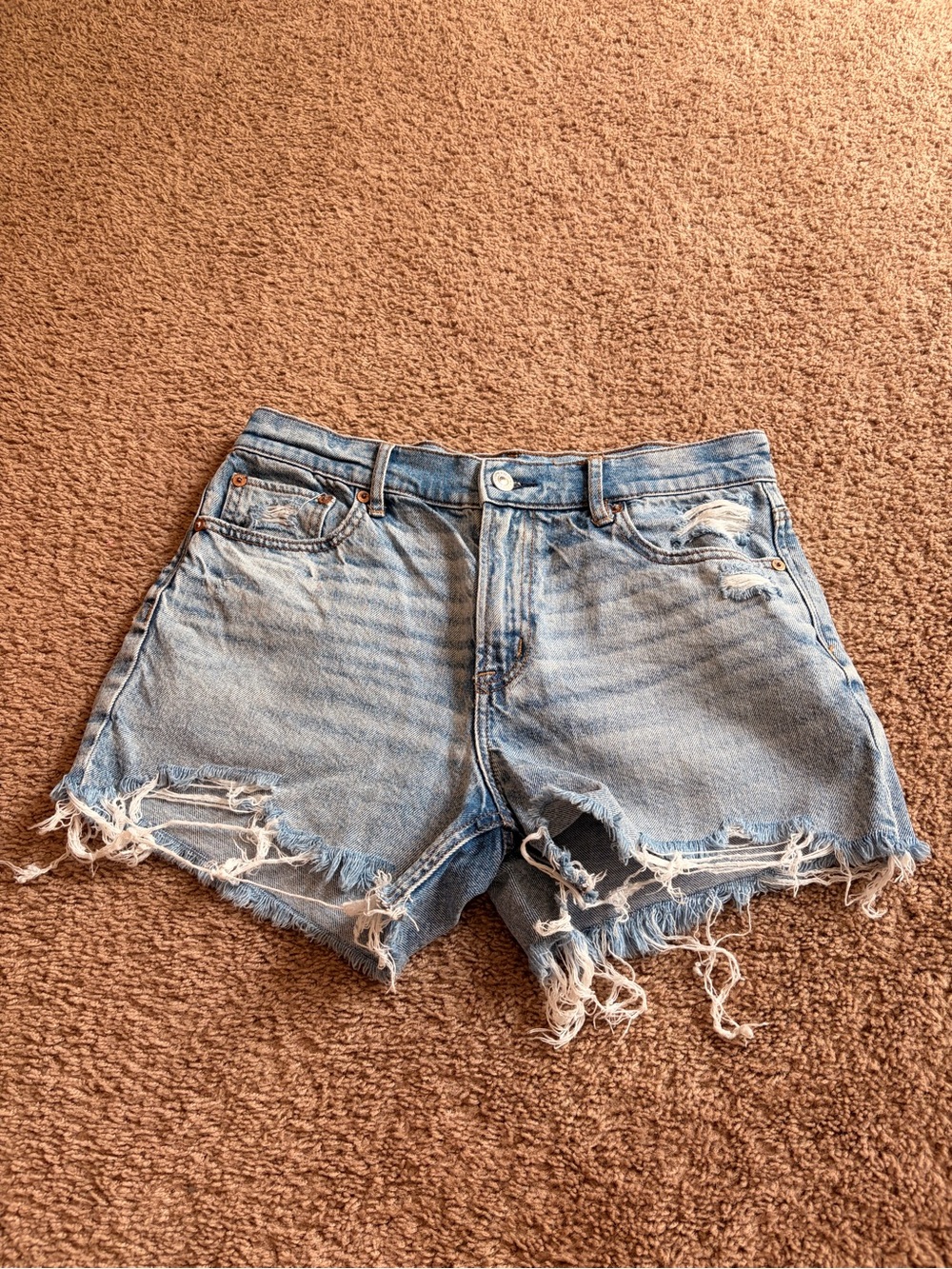 American Eagle Outfitters Light Wash Ripped Denim Cutoff Shorts